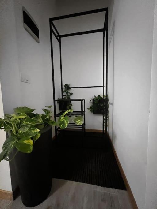 ميرانو Guest House المظهر الخارجي الصورة